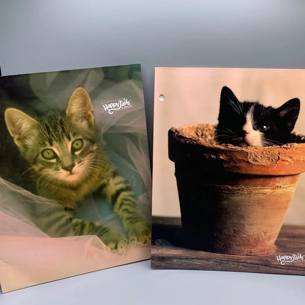 Vintage Happy Tails by Class Act 2005 3 Ring Binder Folder Cat in Pot